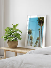 Palms - Art Print